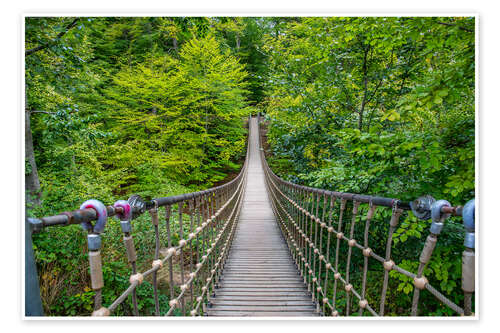 Poster Hängebrücke aus Holz führt duch einen Buchenwald I