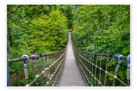 Taulu Wooden suspension bridge leads through a beech forest I - Jan Wehnert