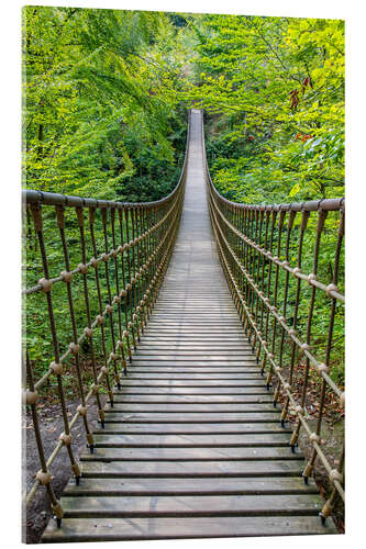 Tableau en verre acrylique Wooden suspension bridge leads through a beech forest II