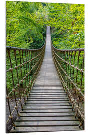 Tableau en aluminium Wooden suspension bridge leads through a beech forest II - Jan Wehnert