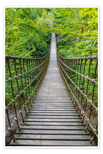 Poster Hängebrücke aus Holz führt duch einen Buchenwald II