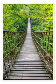 Taulu Wooden suspension bridge leads through a beech forest II - Jan Wehnert
