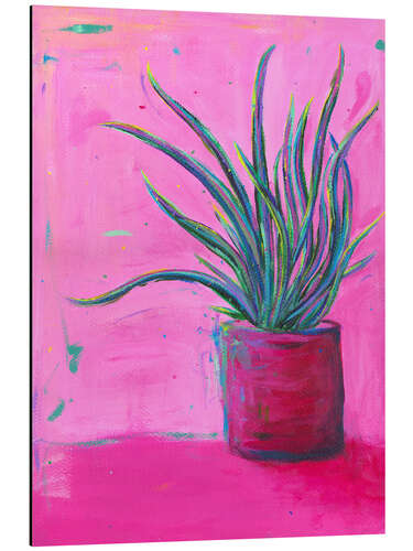 Obraz na aluminium House Plant