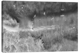 Lienzo Surfers in the ocean, Australia - Matteo Colombo