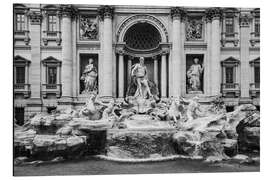 Alubild Trevi-Brunnen, Rom, Italien - Matteo Colombo