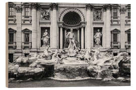 Holzbild Trevi-Brunnen, Rom, Italien - Matteo Colombo