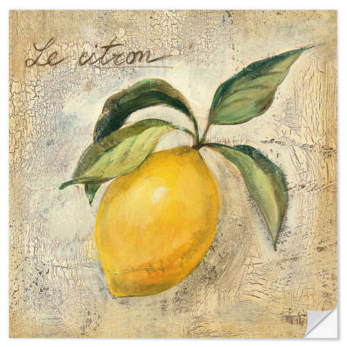 Wall sticker Le Citron