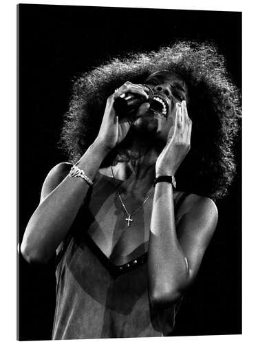 Acrylic print Whitney Houston in Basel