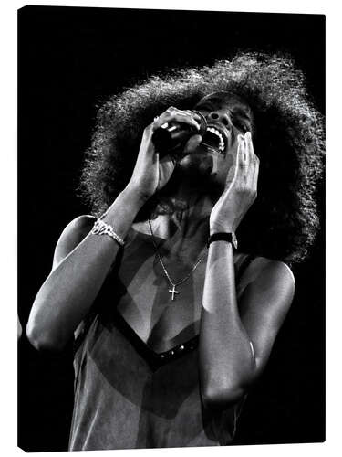 Lienzo Whitney Houston in Basel