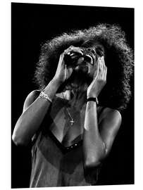 Hartschaumbild Whitney Houston in Basel