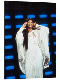 Magnettafel Donna Summer I