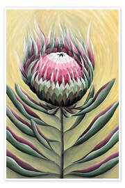 Obra artística Tropical Pink Protea - Maria Tuzhilkina