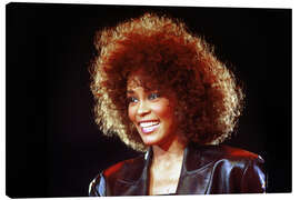 Lienzo Whitney Houston, 1988