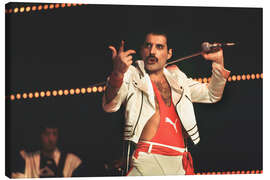 Lienzo Freddy Mercury, 1984