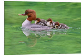 Aluminium print Family excursion - Bernhard Kaiser