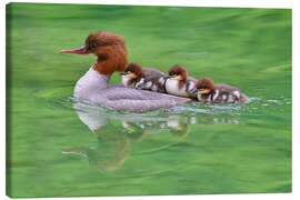 Quadro em tela Family excursion - Bernhard Kaiser