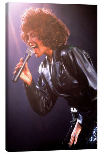 Lienzo Whitney Houston, June 1988