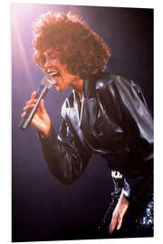 Hartschaumbild Whitney Houston, Juni 1988