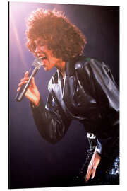 Magnettafel Whitney Houston, Juni 1988
