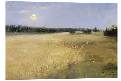 Obraz na szkle akrylowym Summer Night
