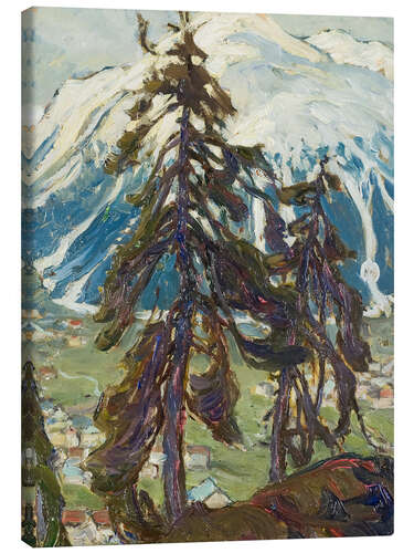 Obraz na płótnie Fir trees in front of mountains, study from Northern Norway