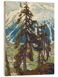 Quadro de madeira Fir trees in front of mountains, study from Northern Norway