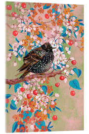 Acrylic print Starling in Blooming Tree - Verbrugge Watercolor