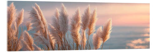 Acrylglas print Pampas Grass in the Evening Glow