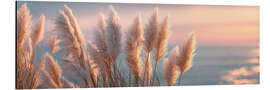 Alubild Pampasgras im Abendglanz