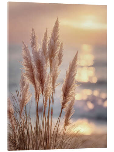 Cuadro de metacrilato Pampas Grass in the Evening Magic