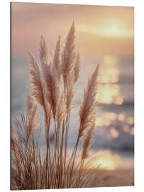Alubild Pampasgras im Abendzauber