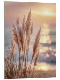 Gallery Print Pampasgras im Abendzauber