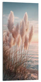 Gallery Print Pampasgras im Sonnnenuntergang