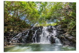 Alubild Vacoas-Wasserfall, Mauritius - Jan Christopher Becke