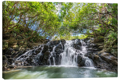 Canvas print Vacoas Waterfall, Mauritius