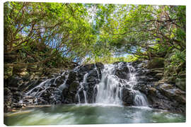 Canvas print Vacoas Waterfall, Mauritius - Jan Christopher Becke