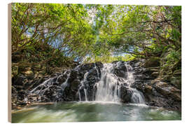 Wood print Vacoas Waterfall, Mauritius - Jan Christopher Becke