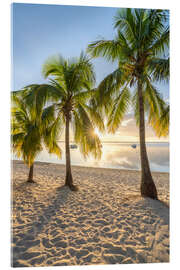 Cuadro de metacrilato Sunset Under Palm Trees, Mauritius - Jan Christopher Becke