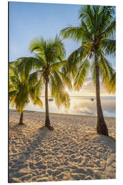 Alubild Sonnenuntergang unter Palmen, Mauritius
