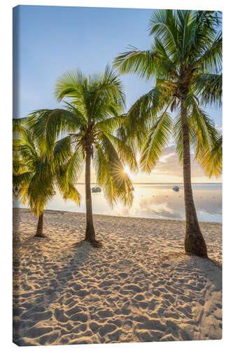 Canvas print Sunset Under Palm Trees, Mauritius