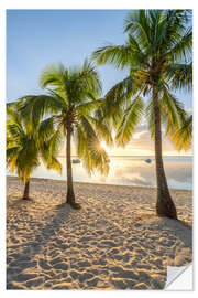 Wandsticker Sonnenuntergang unter Palmen, Mauritius