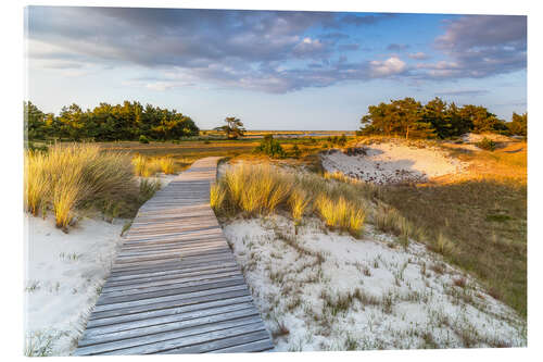 Acrylic print On the Way to the Sea
