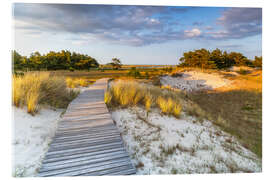 Acrylic print On the Way to the Sea - Moqui, Daniela Beyer