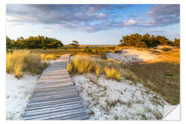 Wandsticker Auf dem Weg zum Meer - Moqui, Daniela Beyer