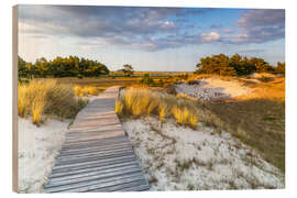 Wood print On the Way to the Sea - Moqui, Daniela Beyer