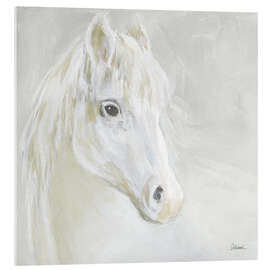 Acrylglasbild Sanftes weißes Pferd - Sue Schlabach