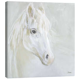 Leinwandbild Sanftes weißes Pferd - Sue Schlabach