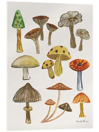 Acrylglasbild Waldpilze