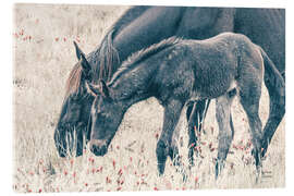 Acrylglasbild Neuer Weideplatz - Nathan Larson