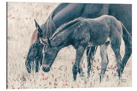 Aluminium print New Graze - Nathan Larson